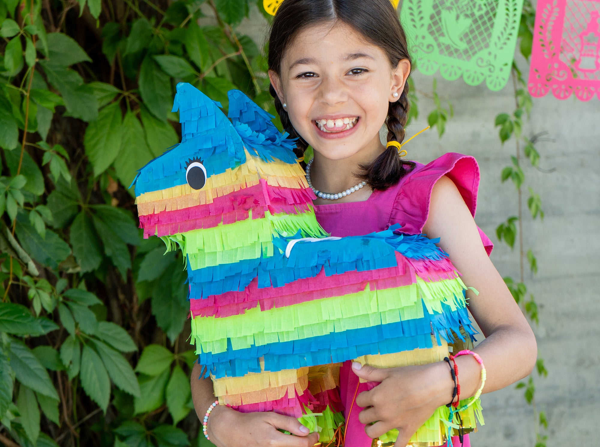 Donkey Pinata Silhouette